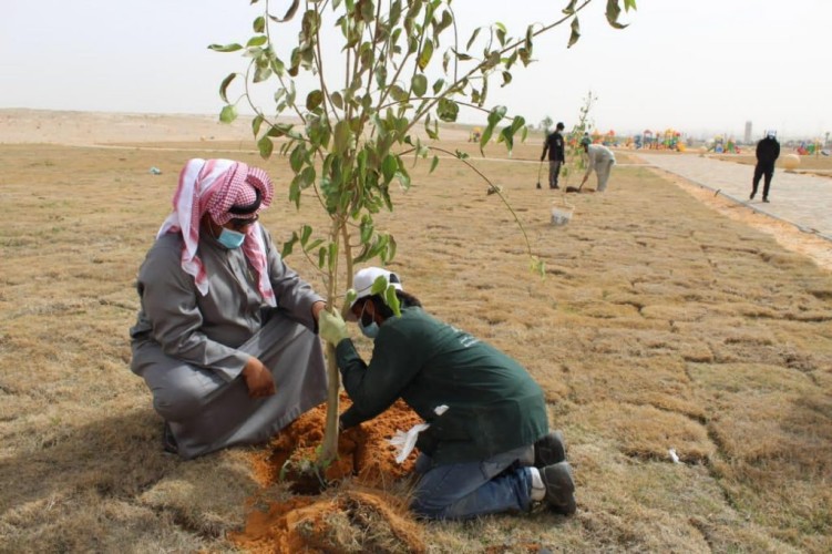 أمانة الجوف وبلدياتها تطلق الموسم الرابع لمبادرة “الجوف واحة خضراء”