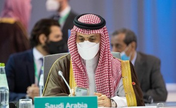 وزير الخارجية: الحل السياسي هو الحل الوحيد للأزمة السورية وفقًا للقرارات الدولية