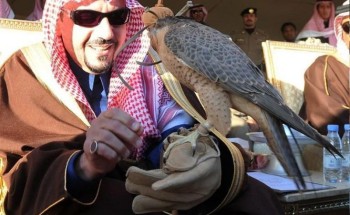 أنطلاق مهرجان القصيم للصقور ينطلق اليوم الخميس أنطلاق مهرجان القصيم للصقور ينطلق اليوم الخميس