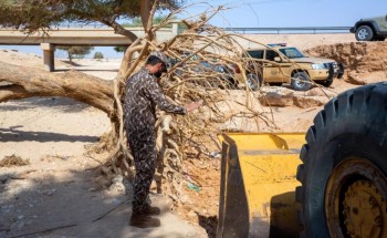 بالفيديو .. “الأمن البيئي” ينقذ شجرة طلح معمّرة جرفتها السيول بالثمامة بالفيديو .. “الأمن البيئي” ينقذ شجرة طلح معمّرة جرفتها السيول بالثمامة