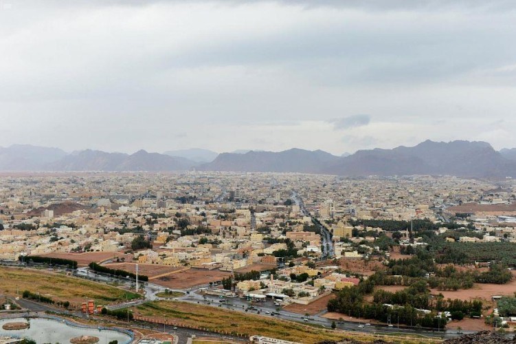 حدث في حائل .. مواطنة تتنازل عن أرض تملكها لعائلة من الأيتام يصل سعرها لـ 350 ألف ريال