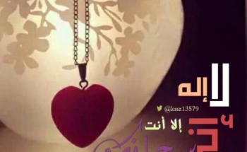إلى من يقرءُ حرفي ..