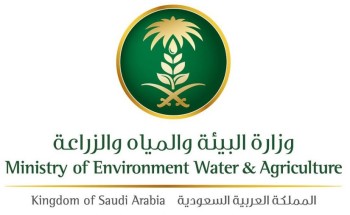 «البيئة» تستكشف وتكافح الجراد الصحراوي بمساحة 117954 هكتاراً في 6 مناطق «البيئة» تستكشف وتكافح الجراد الصحراوي بمساحة 117954 هكتاراً في 6 مناطق
