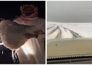 شاهد: حرة بني رشيد في أزهى جمالها بعد هطول الأمطار  عليها .. وجبالها تتلألأ بالبياض الناصع