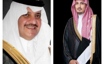 5 آلاف متأهل للاختبار النظري للسائق المثالي الأربعاء القادم 5 آلاف متأهل للاختبار النظري للسائق المثالي الأربعاء القادم