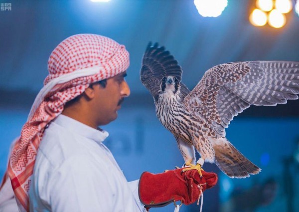 فيديو.. مزاد حفر الباطن للصقور يشهد بيع فرخ شاهين بـ 400 ألف ريال فيديو.. مزاد حفر الباطن للصقور يشهد بيع فرخ شاهين بـ 400 ألف ريال