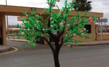 بعد صور متداولة .. أول تعليق من بلدية حائل بشأن تشجير الشوارع بالبلاستيك بعد صور متداولة .. أول تعليق من بلدية حائل بشأن تشجير الشوارع بالبلاستيك