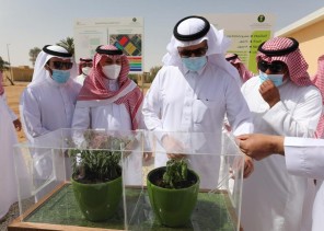 “البيئة” تدشن 4 مشروعات وخدمات زراعية لتطوير منتجات ومدخلات الإنتاج العضوي في منطقة القصيم