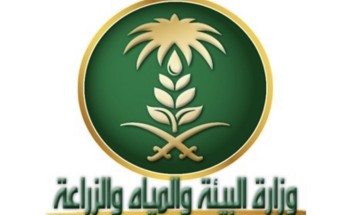 وزارة “البيئة والمياه والزراعة” تستكمل استعداداتها لبدء الدعم المباشر لمشروعات الدواجن في المملكة مطلع العام ٢٠٢٠ وزارة “البيئة والمياه والزراعة” تستكمل استعداداتها لبدء الدعم المباشر لمشروعات الدواجن في المملكة مطلع العام ٢٠٢٠