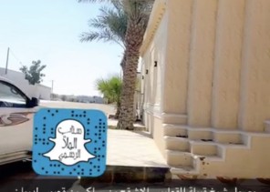 ” هداج القعابيب ” يستقبل شيخ قبيلة القعابيب بديوانه