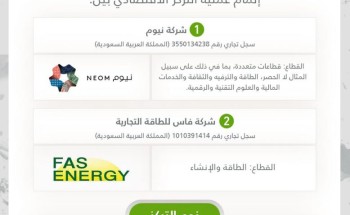 هيئة المنافسة توافق على إنشاء مركز بيانات في مدينة نيوم هيئة المنافسة توافق على إنشاء مركز بيانات في مدينة نيوم