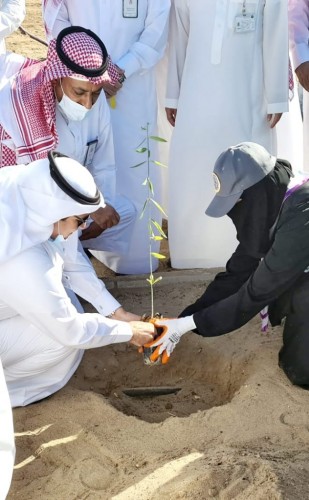 بهدف تحسين المشهد البصري والإهتمام بالبيئة من خلال تكثيف أعمال التشجير بالعاصمة المقدسة