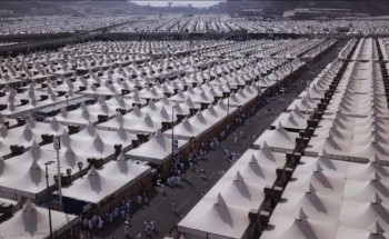 44 فرع لتقديم الخدمات البلدية بمكة المكرمة والمشاعرالمقدسة 44 فرع لتقديم الخدمات البلدية بمكة المكرمة والمشاعرالمقدسة