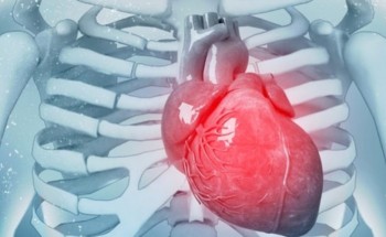 النمر: يكشف عن خلطة لصحة القلب ووقايته من الأمراض النمر: يكشف عن خلطة لصحة القلب ووقايته من الأمراض
