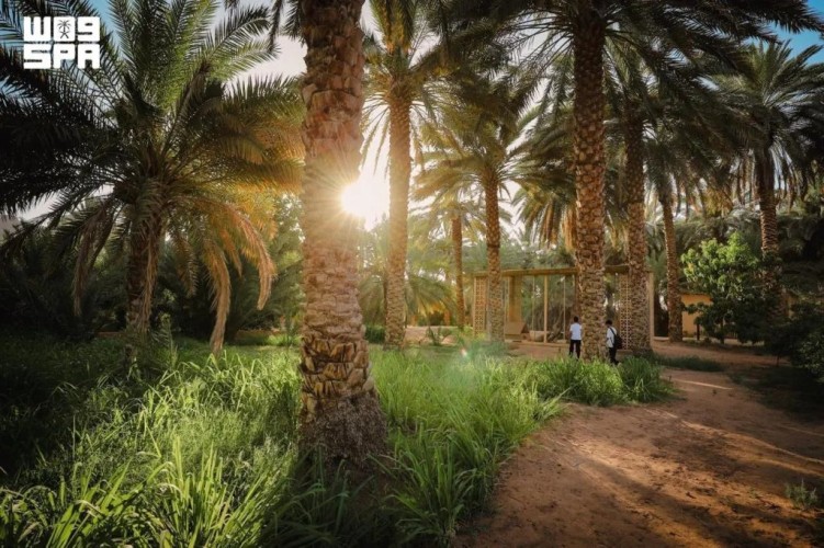 الهيئة الملكية للعُلا تطلق موسم «خيرات العُلا» الزراعي 2026-2027