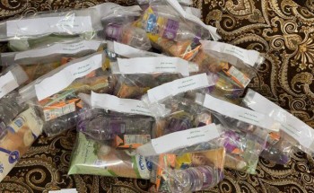 جمعية “بنات الوطن” تُنفيذ عددًا من المبادرات التطوعية في محافظة الدايرلمواجهة جائحة فيروس كورونا