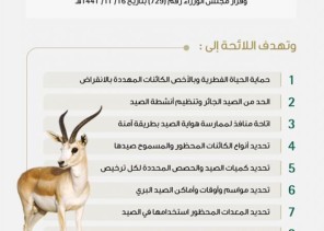 “البيئة” تبدأ تطبيق اللائحة التنفيذية لصيد الكائنات الفطرية البرية في المملكة “البيئة” تبدأ تطبيق اللائحة التنفيذية لصيد الكائنات الفطرية البرية في المملكة