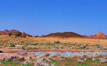 بالفيديو: مواطن يوثق فيديو يرصد بوادر الربيع جنوب حائل بالفيديو: مواطن يوثق فيديو يرصد بوادر الربيع جنوب حائل