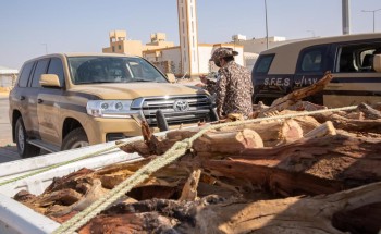القوات الخاصة للأمن البيئي تضبط (46) شخصا من مخالفي نظام المراعي والغابات بالرياض القوات الخاصة للأمن البيئي تضبط (46) شخصا من مخالفي نظام المراعي والغابات بالرياض