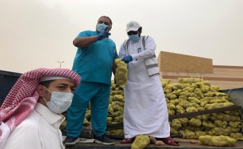 ضبط شاحنتين محملة بأعداد كبيرة من البطاطس الفاسدة لتوزيعها في سوق الخضار بالدمام