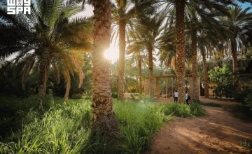 الهيئة الملكية للعُلا تطلق موسم «خيرات العُلا» الزراعي 2026-2027 الهيئة الملكية للعُلا تطلق موسم «خيرات العُلا» الزراعي 2026-2027