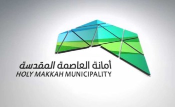 أمانة العاصمة المقدسة تنظم مبادرة كات ووك لرفع الوعي بضرورة حماية القطط البريِّة أمانة العاصمة المقدسة تنظم مبادرة كات ووك لرفع الوعي بضرورة حماية القطط البريِّة