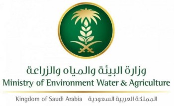 “البيئة” تطلق خدمتي إذن الدخول والخروج للهجن المشاركة في المسابقات والمهرجانات عبر “أنعام بلس” “البيئة” تطلق خدمتي إذن الدخول والخروج للهجن المشاركة في المسابقات والمهرجانات عبر “أنعام بلس”