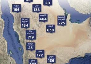 “سكني” يُصدر 3181 عقداً للأراضي السكنية خلال ديسمبر 2020