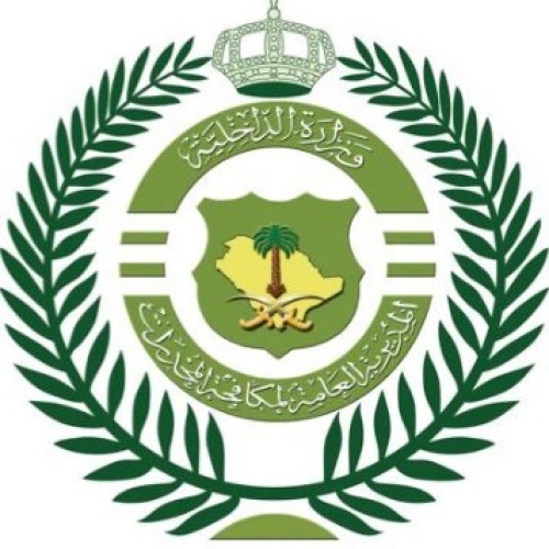 مكافحة المخدرات تقبض على (3) أشخاص بمنطقة الجوف لترويجهم أقراصًا خاضعة لتنظيم التداول الطبي