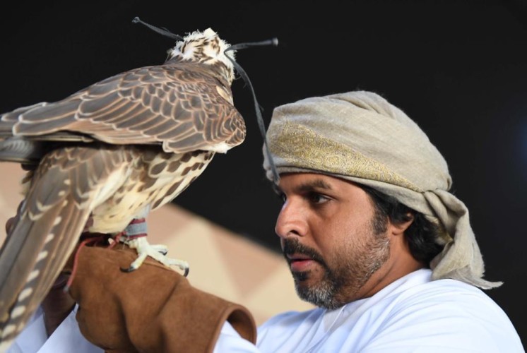 في مهرجان المؤسس.. الصقار ابن جرة يجمع في صقوره بين القوة والسرعة والجمال