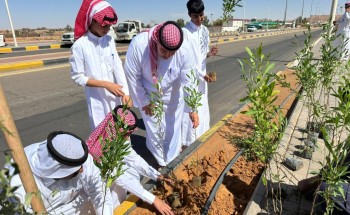 دعماً لرؤية 2030.. بلدية صوير تواصل تنفيذ مبادرة «الجوف واحة خضراء» بزراعة شتلات جديدة