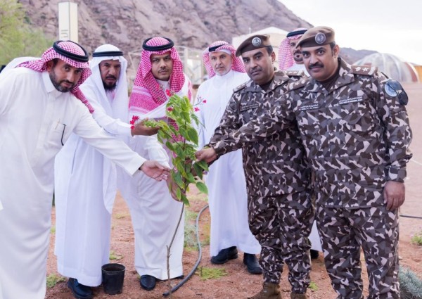 مدير فرع وزارة البيئة بحائل يستقبل قائدة القوة الخاصة للأمن البيئي بالمنطقة مدير فرع وزارة البيئة بحائل يستقبل قائدة القوة الخاصة للأمن البيئي بالمنطقة