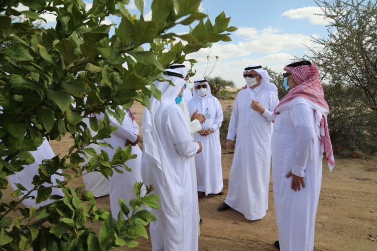 الوزير الفضلي يتفقد ميدانياً مشروعات منظومة البيئة والمياه والزراعة في منطقة عسير