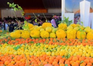 مهرجان الحمضيات الخامس بالحريق يشهد اقبال كبير من الزوار مهرجان الحمضيات الخامس بالحريق يشهد اقبال كبير من الزوار