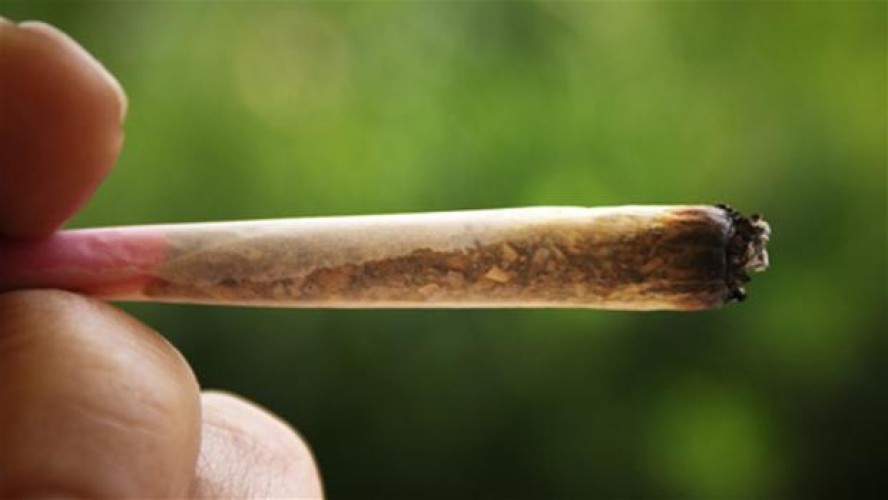 مكافحة المخدرات تحذر من تعاطي الحشيش المخدر لإحتوائه على مواد شديدة الضرر