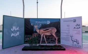 انطلاق مهرجان محمية الملك سلمان بن عبدالعزيز الملكية وسط اقبال كبير من الزوار