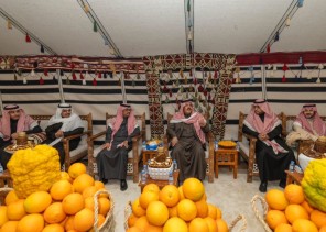 أمير منطقة حائل يدشّن مهرجان حمضيات حائل 2024