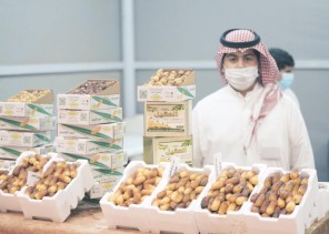 ٦٥ نوعا من التمور في مهرجان التمر والعسل بدومة الجندل أبرزها حلوة الجوف ٦٥ نوعا من التمور في مهرجان التمر والعسل بدومة الجندل أبرزها حلوة الجوف