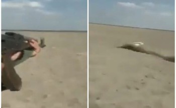 شاهد .. مواطن يصطاد الغزلان من داخل مركبته يثير الغضب .. ومطالبات بالقبض عليه!