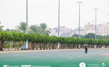 زراعة أكثر من ٧١ ألف شجرة وشجيرة بالعاصمة المقدسة زراعة أكثر من ٧١ ألف شجرة وشجيرة بالعاصمة المقدسة