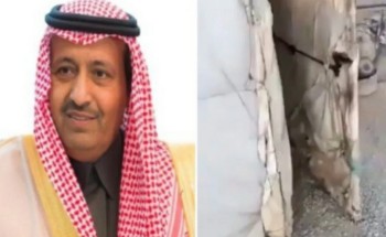 توجيه هام من أمير الباحة بتوفير مسكن لمسنة تعيش في خيمة توجيه هام من أمير الباحة بتوفير مسكن لمسنة تعيش في خيمة