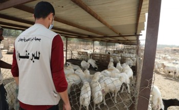 بر جازان توزع 7,500 كبلو من اللحوم الطازجه على 2,500 أسرة مستفيدة من خدماتها بر جازان توزع 7,500 كبلو من اللحوم الطازجه على 2,500 أسرة مستفيدة من خدماتها