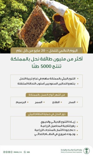 المملكة تشارك المجتمع الدولي باليوم العالمي للنحل 20 مايو