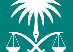 النيابة تكشف عن التحقيق مع الشاب المتنكر في الباحة المتسبب في فزع عدد من المواطنين