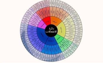 القسم النفسي بجمعية “كيان” للأيتام يقيم دورة تدريبية للمستفيدات بعنوان “تنظيم الانفعالات” القسم النفسي بجمعية “كيان” للأيتام يقيم دورة تدريبية للمستفيدات بعنوان “تنظيم الانفعالات”