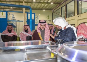 أمير الجوف يدشن مصنع المليون شجرة لعصر الزيتون في بسيطا دعماً للاستثمار الزراعي