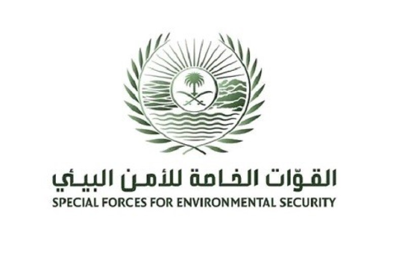 القوات الخاصة للأمن البيئي تضبط مخالفين لنظام البيئة لبيعهم حطبًا محليًا لأغراض تجارية