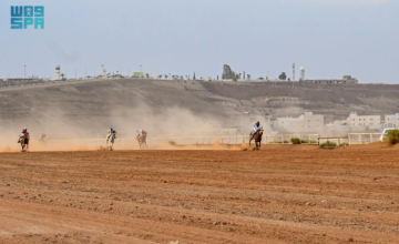 سباق الخيل الثاني في العقيق يشهد حضورًا رسميًا وتنافسًا قويًا بين الجياد المحلية والعربية سباق الخيل الثاني في العقيق يشهد حضورًا رسميًا وتنافسًا قويًا بين الجياد المحلية والعربية