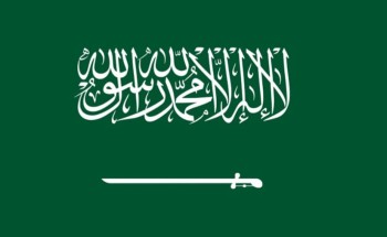 المملكة تشارك في أعمال واجتماعات الدورة (56) للجنة الأونسيترال في فيينا المملكة تشارك في أعمال واجتماعات الدورة (56) للجنة الأونسيترال في فيينا