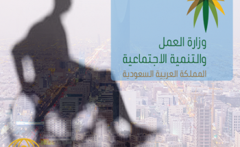 ذوي الاحتياجات الخاصة يشتكون من قلة الرواتب ذوي الاحتياجات الخاصة يشتكون من قلة الرواتب